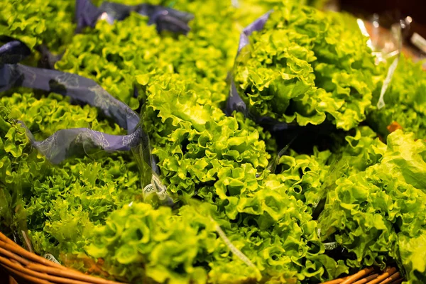 Green organic hydroponic iceberg lettuce isolated . Organic iceberg lettuce is a farmed vegetable grew by hydroponic method. The vegetable is natural organic ingredient for salad. Horizontal