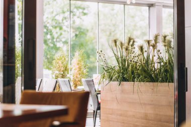 Modern tarzda, dokulu duvarları ve parketi olan bir restoran. Masalı gri tezgahlar, dekoratif ahşap ve bitkiler var. Restoran konsepti