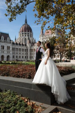 Gelin ve damat eski kasaba caddesinde sarılıyor. Düğün çifti Budapeşte 'de Parlamento Binası yakınlarında yürüyor. Kafkasyalı mutlu romantik çift evliliklerini kutluyor. Düğün ve aşk konsepti.