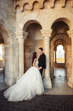 Gelin ve damat eski kasaba caddesinde sarılıyor. Budapeşte, Macaristan 'da Balıkçı Kalesi' nde yürüyen düğün çifti. Evliliklerini kutlayan mutlu romantik genç çift. Düğün ve aşk konsepti.