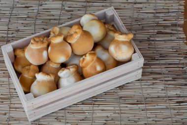 Tahta bir masada İtalyan peynirli burrata. Yakın plan. Küçük ahşap kesim tahtasına bağlanmış İtalyan peynirli burrata ahşap arkaplanda roka ile servis edilir..