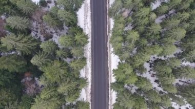 Karlı ormanda kış yolu üzerinde araba sürüyor, 4K 'daki insansız hava aracından hava görüntüsü. Uzun çam ağaçlarıyla kaplı ormanın hava manzarası güneşli bir günde uzun yollar boyunca taze karla kaplıydı..