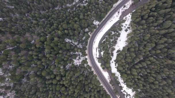 Bilkörning på vintern landsväg i snöig skog, antenn utsikt från drönare i 4k. Flygfoto över skogen med hög tallskog täckt med nysnö på solig dag längs de långa vägarna. — Stockvideo