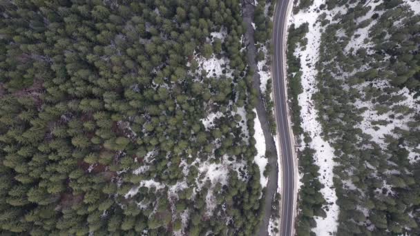 在雪地森林的冬季乡间路上开车，从4k的无人机俯瞰空中。阳光明媚的日子，沿着长路环绕着高高的松树林，上面覆盖着新鲜的雪. — 图库视频影像