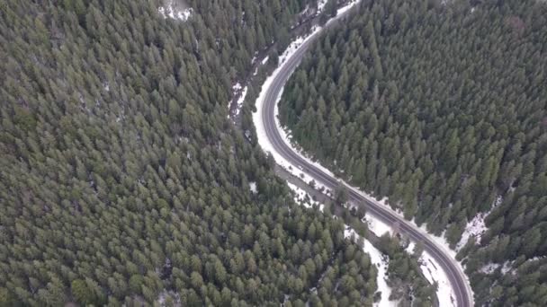 Car driving on winter country road in snowy forest, aerial view from drone in 4k. Aerial view of the forest with tall pine tree woodland covered with fresh snow on sunny day along the long roads. — Stock Video