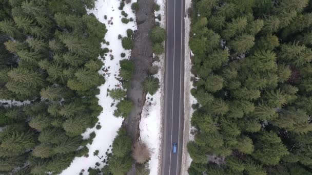 Car driving on winter country road in snowy forest, aerial view from drone in 4k. Aerial view of the forest with tall pine tree woodland covered with fresh snow on sunny day along the long roads. — Stock Video