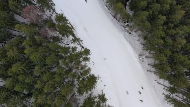 Πολλοί άνθρωποι κατεβαίνουν για σκι σε τέλεια διαμορφωμένες πίστες σκι στο χιονοδρομικό κέντρο. Ο ήλιος λάμπει, ο ουρανός είναι καθαρός. Αργή κίνηση, 4k. Ενεργή ψυχαγωγία το χειμώνα και έναν υγιεινό τρόπο ζωής. Copter, μη επανδρωμένο — Αρχείο Βίντεο