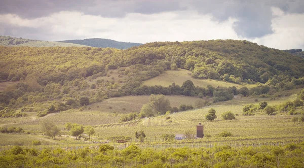 Romantische Frühlingslandschaft in den Weinbergen von Pezinok — Stockfoto