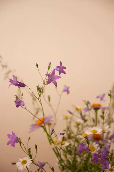 草场野花花束 — 图库照片