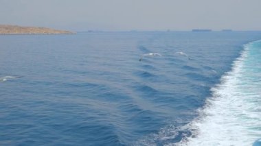 Tekne, gemi denizde iz bırakıyor. Deniz taşımacılığı geçmişi. Denizin ortasındaki martılar. Voage, gezi konsepti. Seyahat arka planı. Ekoloji ve insan
