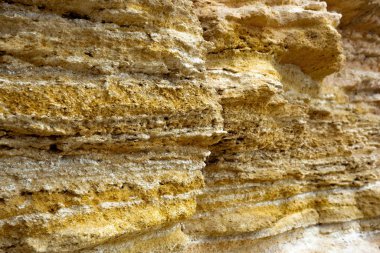 Mimaride eko tarzı. Doğal yapı malzemesi. Kabuklu deniz ürünlerinden yapılmış tuğlalar. Denizden inşaat malzemesi. İnşaat endüstrisi. Dış arkaplan. Ayrıntılarda yankı oluşturma materyali.