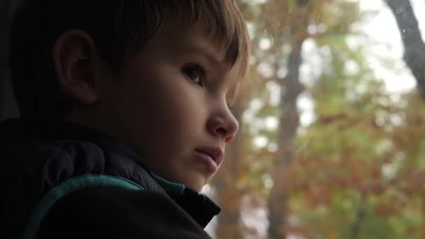 Молоді туристи подорожують потягом. Кавказький хлопчик з карі очі дивиться на дерева, що ростуть на тротуарі. Фраза обличчя. Дитячі емоції. — стокове відео