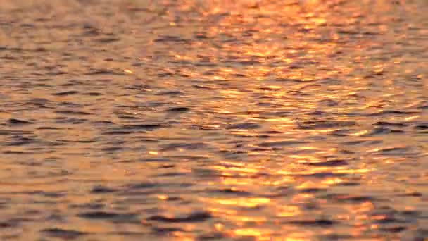 Μαλακά χρώματα του ηλιοβασιλέματος αντανακλά στο θαλασσινό νερό. Φυσικά απαλά μοντέρνα χρώματα. Θαλασσινό τοπίο, θαλασσινό νερό με σεληνιακό ίχνος στο νερό. Ηλιοβασίλεμα που αντανακλά στο θαλασσινό νερό. Ομορφιά της φύσης — Αρχείο Βίντεο