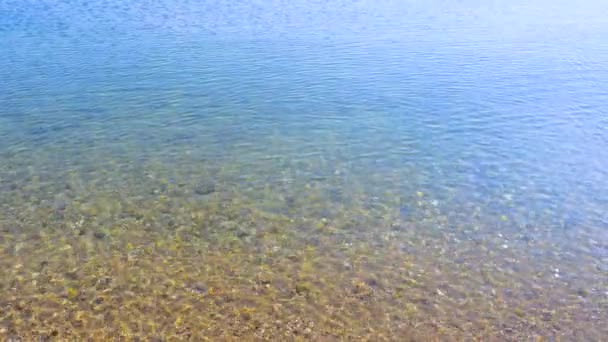 Κρυστάλλινο καθαρό θαλασσινό νερό. Καλοκαιρινή ιδέα Καλοκαίρι. Βυθισμένο βυθό. Πέτρες κάτω από το νερό. Έκτακτη ανάγκη. Κλιματικές αλλαγές. Φόντο φύσης. Κύλινδρος. Θαλασσινό τοπίο. Ιστορικό παραλίας — Αρχείο Βίντεο