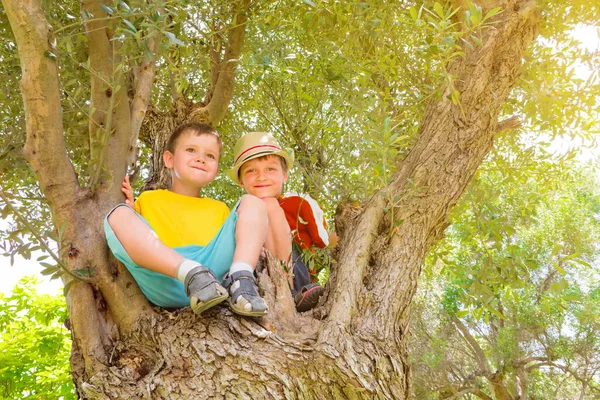Tow brothers sitting on the tree. Happy siblings having fun. Children with positive emotions. Smiling faces of happy kids. Sports and recreations. Creative boys. Alternative education. Preschool — 图库照片