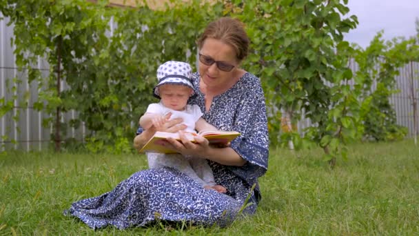 Bayanlar kitap okuyor. Torunuyla birlikte yeşil çimlerin üzerinde oturan büyükannesi. Dadısı olan küçük kız dışarıda vakit geçiriyor. Yeni yürümeye başlayan çocuk temiz hava alıyor. Mutlu çocukluk geçmişi. Kitap konseptini okuyorum. — Stok video