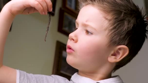 Bleiben Sie zu Hause Ordnung. Quarantäne-Hintergrund. Kinder und Quarantäne. Home-Aktivitäten für Vorschulkinder. Kindergarten zu Hause. Aktivitäten in Innenräumen während der Quarantäne. COVID-19, Coronavirus, nCov 2 — Stockvideo