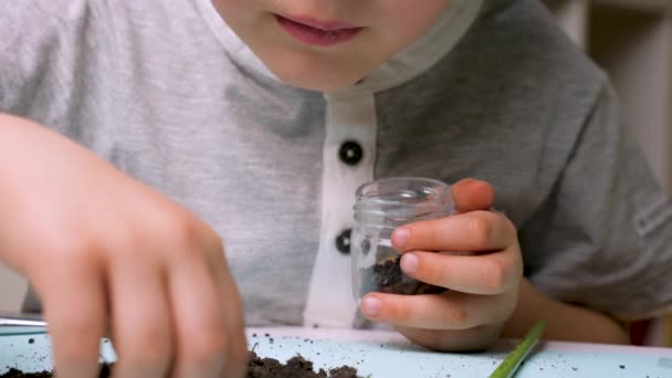 隔離だ。家庭での教育。虫眼鏡の少年。興味深い教育だ。自然科学の背景。若い科学者だな？。世界の概念を探求する。学びの概念 — ストック動画