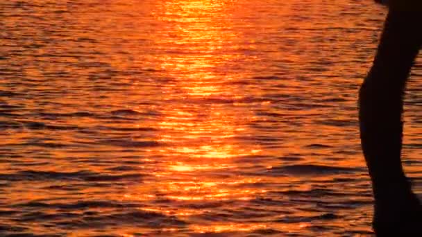 Чоловік Проходить Заході Сонця Морі Магма Палет Морській Воді Під — стокове відео