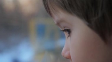 Trenin camından içeri bakan çocuğun başı. Küçük gezgin önden gidiyor. Arabadaki akıllı, düşünceli çocuk. Arabayla seyahat eden küçük bir yolcu. Arka manzara. Yaşam tarzı olarak seyahat et. Yüzünde ciddi bir ifade olan çocuk. Genç gezgin.