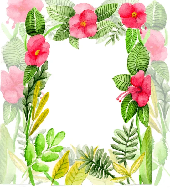 Beyaz arkaplanı ve metin için yeri olan suluboya tropikal çiçeklerin kartı — Stok fotoğraf