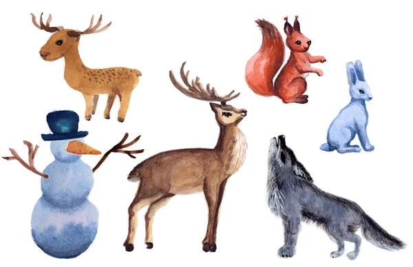 白い背景に森の動物が描かれた水彩画 — ストック写真