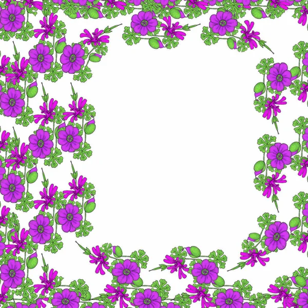 Plantilla de marco de doodle flores aisladas sobre fondo blanco — Vector de stock