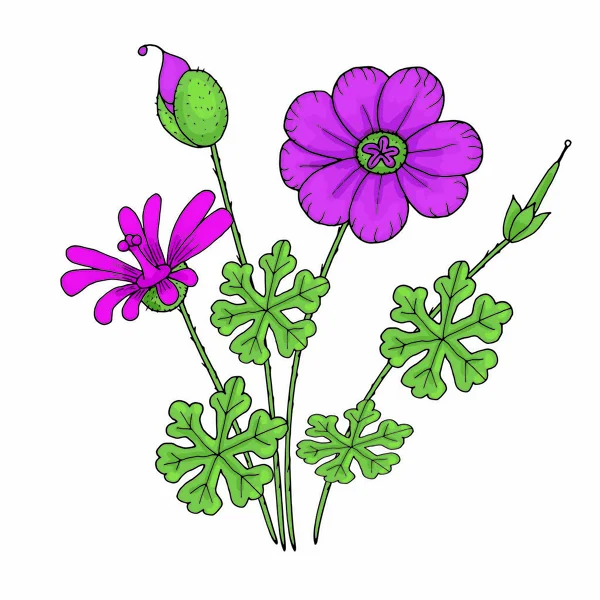 Concepto Flores Silvestres Primavera Estilo Doodle Aislado Sobre Fondo Blanco — Archivo Imágenes Vectoriales