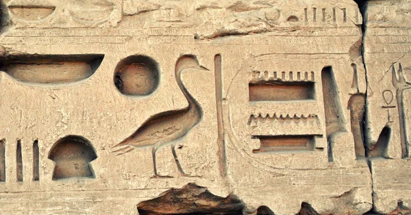 Egyptiska hieroglyfer på väggen — Stockfoto