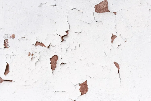 Çimento boyalı duvar beyaz artalan — Stok fotoğraf