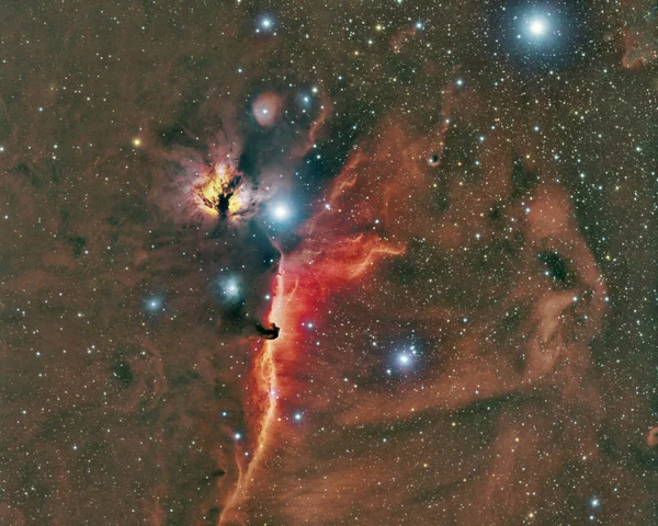 Horsehead and Flame Nebula — Stock Photo, Image