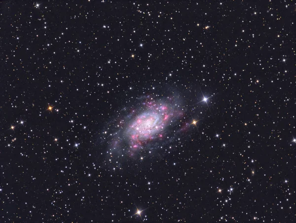 Galaktyka Ngc 2403 — Zdjęcie stockowe