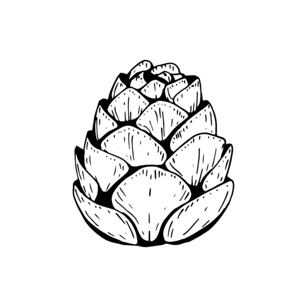 Hand drawn cone isolated on white. Vector illustration in sketch — ストックベクタ