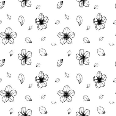 Elle çizilmiş çiçek deseni, kiraz çiçekleri ve taç yaprakları..