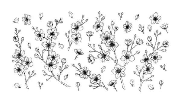 Duży zestaw wiosennych kwiatów wiśni. Ilustracja wektora — Wektor stockowy