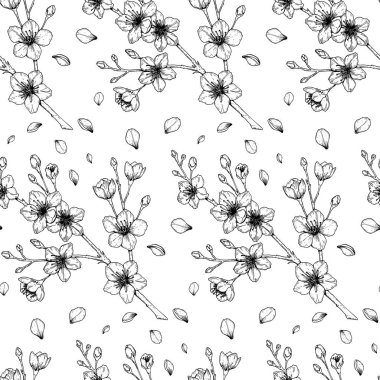 Çiçek desenli el çizimi bahar kiraz çiçekleri dallanır.