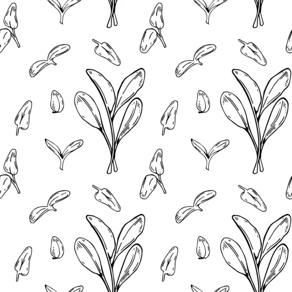 Hand drawn spinach micro greens seamless pattern. Vector illustration in sketch style isolated on white background