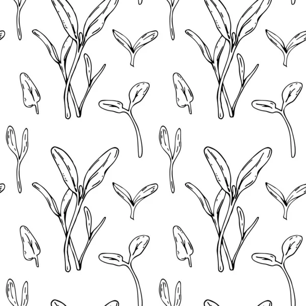 Hand drawn beet micro greens seamless pattern. Vector illustration in sketch style isolated on white background