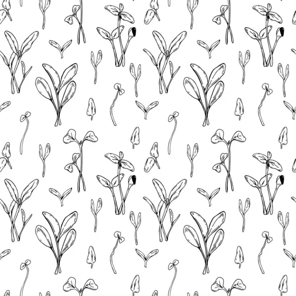 Hand drawn micro greens seamless pattern. Vector illustration in sketch style isolated on white background