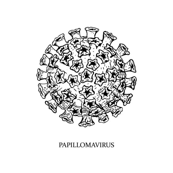 Met Hand Getekend Papillomavirus Illustratie Met Naam Schets Stijl Microscoop — Stockvector