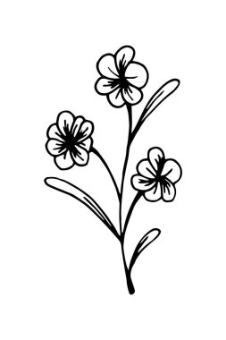 El çizimi çiçek tasarımı öğesi. Beyaz üzerine izole edilmiş taslak biçiminde vektör illüstrasyonu