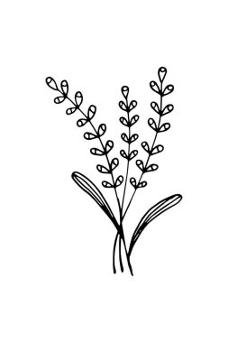 El çizimi çiçek tasarımı öğesi. Beyaz üzerine izole edilmiş taslak biçiminde vektör illüstrasyonu