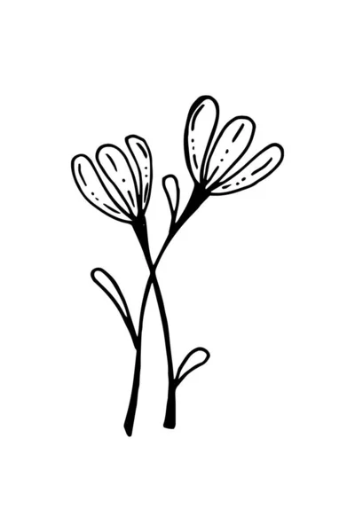 Handgezeichnetes Florales Design Element Vektor Illustration Eines Schneeglöckchens Skizzenstil Isoliert — Stockvektor