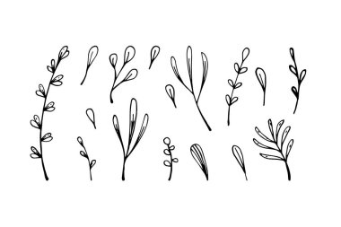 El çizimi çiçek tasarımı elementleri. Beyaz üzerine izole edilmiş taslak biçiminde vektör illüstrasyonu