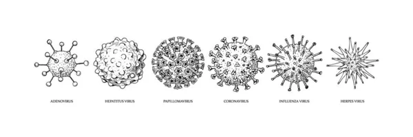 Soubor Ručně Kreslených Virů Koronavirus Papilomavirus Herpes Chřipka Hepatitida Adenovirus — Stockový vektor