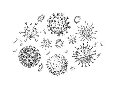 Set of hand drawn viruses types (coronavirus, papillomavirus, herpes, influenza, hepatitis, adenovirus) in sketch style. Microscope virus close up. Vector illustration. COVID-2019 clipart