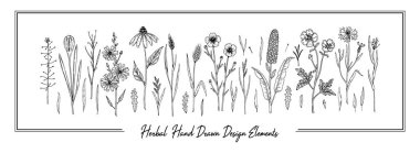 El çizimi çayır çiçekleri beyaza izole edilmiş. Robot resim biçiminde vektör illüstrasyonu