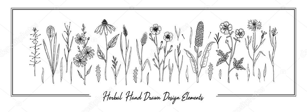 Set of hand drawn meadow flowers isolated on white. Vector illustration in sketch style