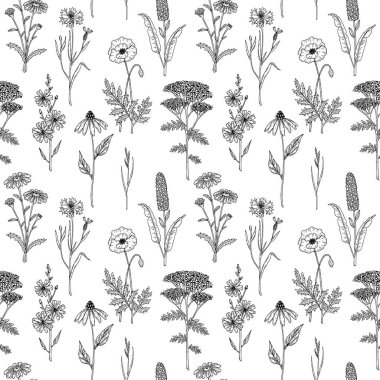 El çizimi çayır çiçekleri pürüzsüz desen. Robot resim biçiminde vektör illüstrasyonu