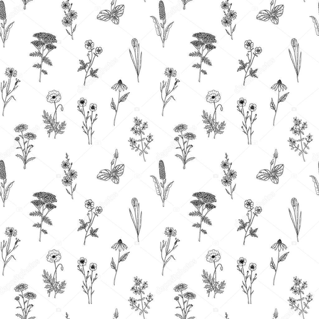 Hand drawn meadow flowers seamless pattern. Vector illustration in sketch style